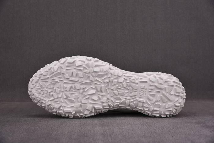 D10R B28 Oblique LOW Top Sneaker