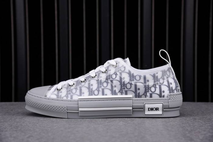 D10R B23 OBLIQUE LOW TOP SNEAKER