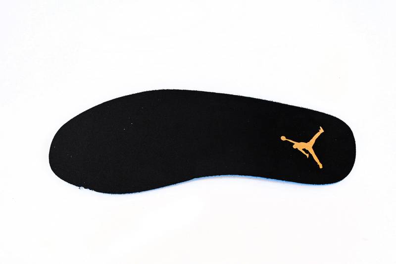 Air Jordan 1 Low Dark Concord