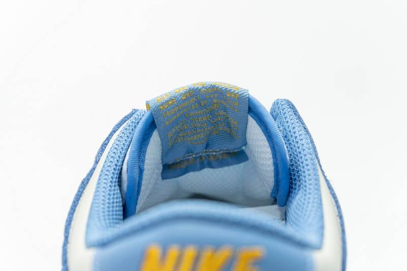 Nike Dunk Low Coast (W)
