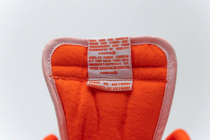 Nike Dunk Low SP Syracuse (2020)