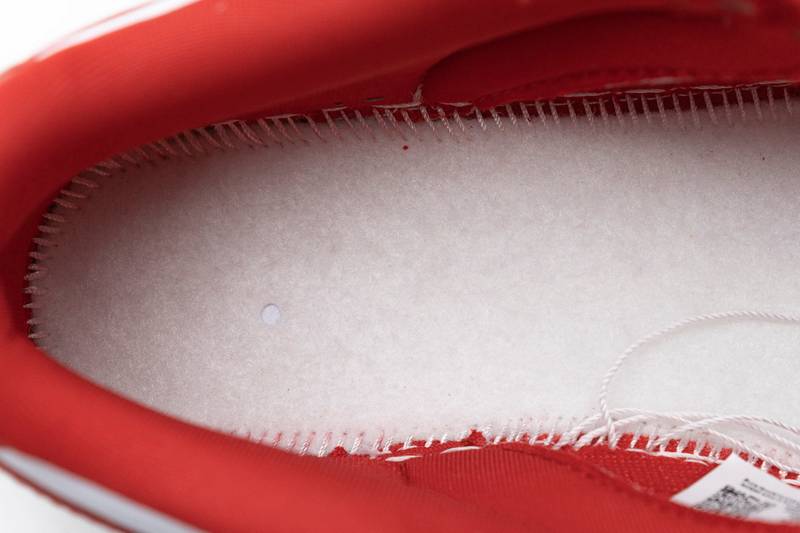 Nike Dunk SB Low SP University Red