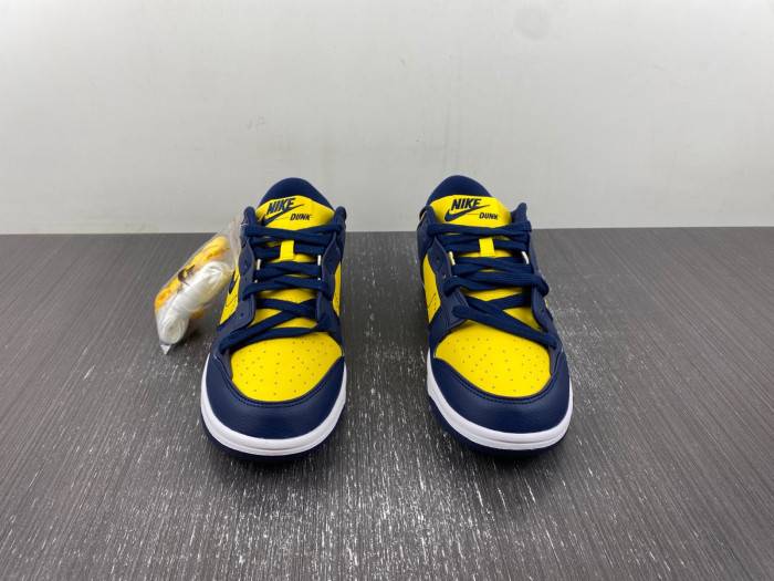 Nike Dunk Low Disrupt DV4024-400