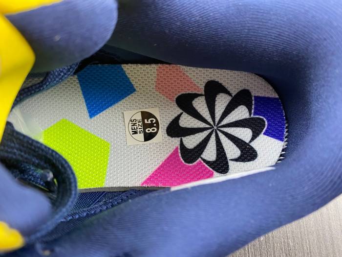 Nike Dunk Low Disrupt DV4024-400