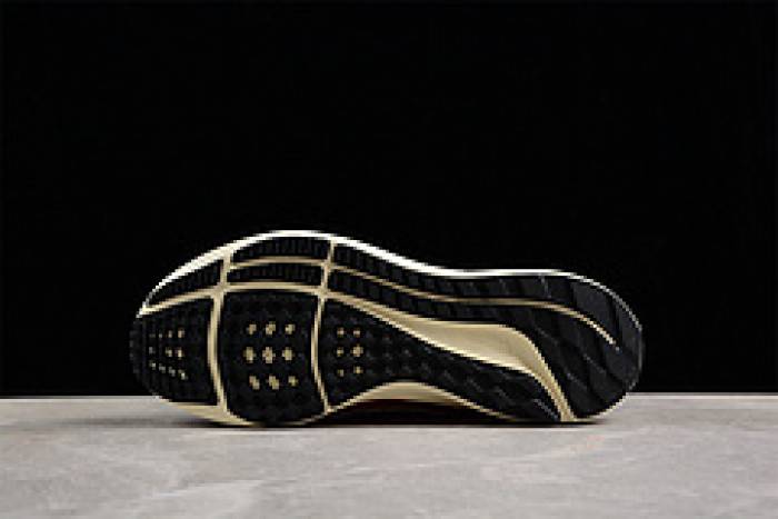 Nike Pegasus 40 Premium FB7703-100